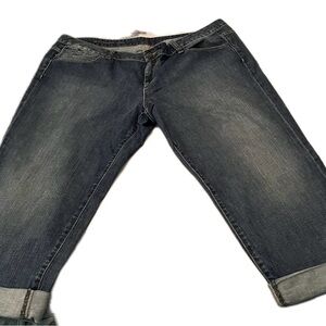 Talbots Blue Wash Boyfriend Jeans Size 22Wp